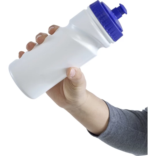 Bidon 500 ml (V9875/A-04)