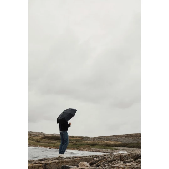 Parasol 21