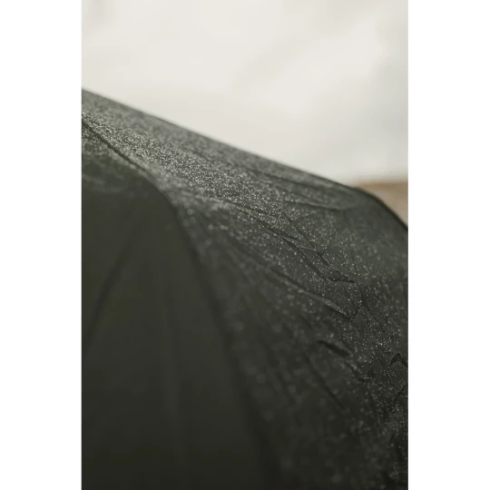 Parasol 21