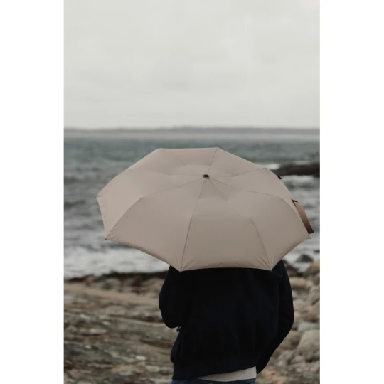 Parasol 21