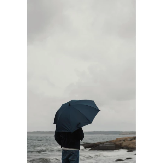 Parasol 23