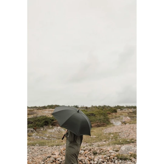 Parasol 23
