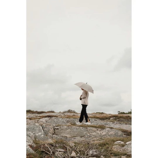 Parasol 23