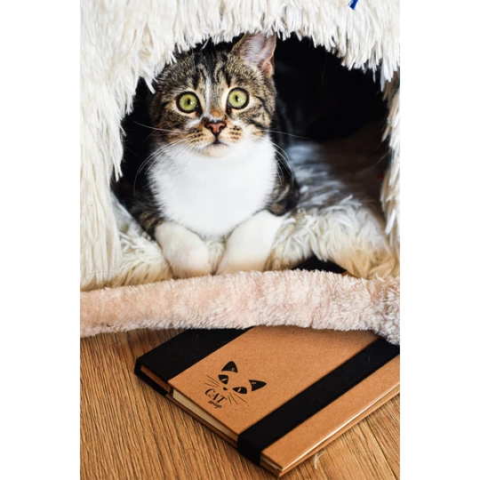 Notes memo 100x180/70k linia Kraft Paper, czarny/beżowy (R73661.02)
