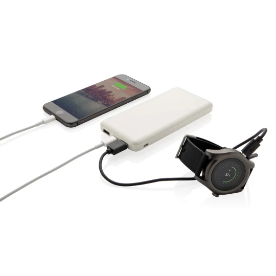 Power bank 10000 mAh (P324.793)