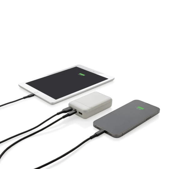 Power bank 10000 mAh (P322.663)