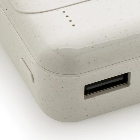 Power bank 10000 mAh (P322.663)