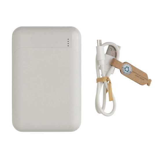 Power bank 10000 mAh (P322.663)