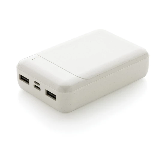 Power bank 10000 mAh (P322.663)