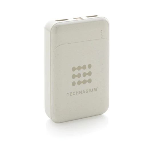 Power bank 10000 mAh (P322.663)