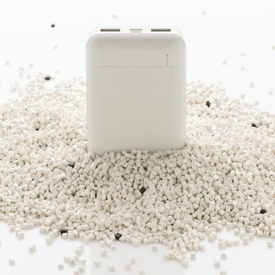 Power bank 10000 mAh (P322.663)