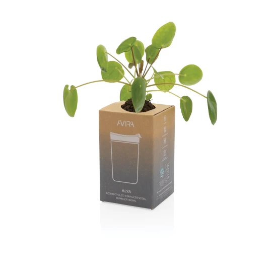 Kubek termiczny 300 ml Avira Alya (P438.029)