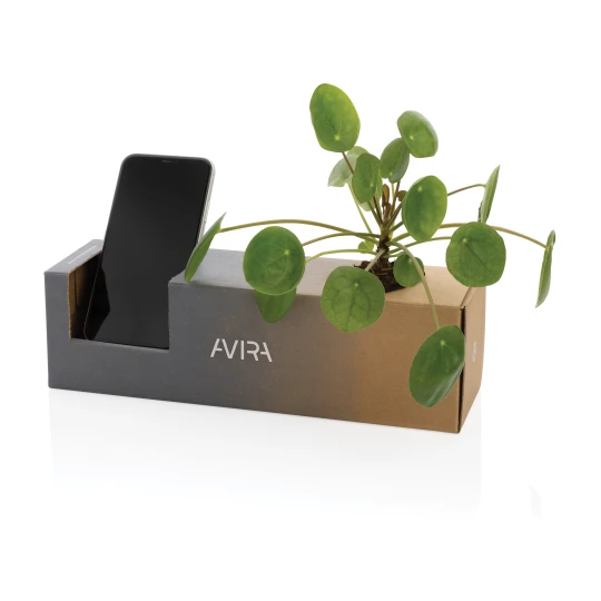Butelka sportowa 1000 ml Avira Atik z RPET (P438.049)