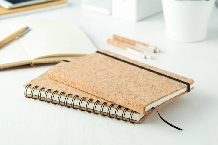 Xiankal notes - naturalny (AP721717)