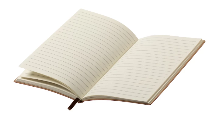 Paldon notes - bordo (AP721728-08)