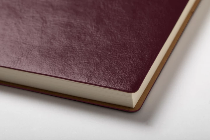 Paldon notes - bordo (AP721728-08)