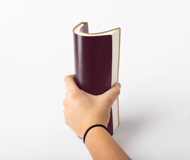 Paldon notes - bordo (AP721728-08)