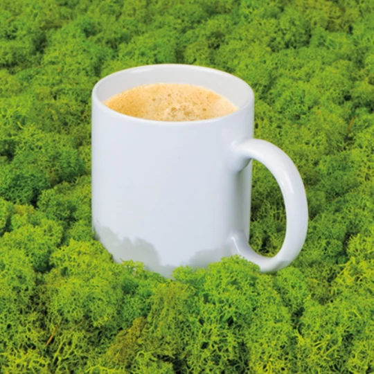 Kubek ceramiczny 300 ml - biały - (GM-87888-06)