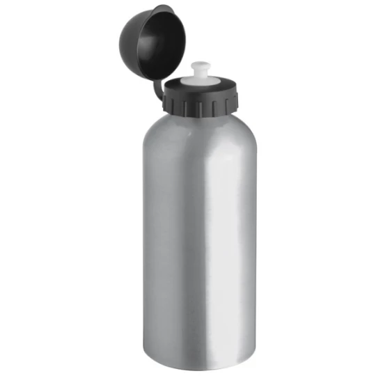 Bidon metalowy CHARLOTTE 600 ml - szary (GE-5710-07)