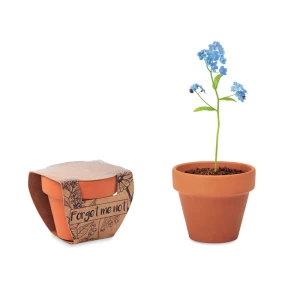 Doniczka, niezapominajka - FORGET ME NOT (MO6146-40)