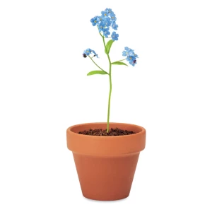 Doniczka, niezapominajka - FORGET ME NOT (MO6146-40)