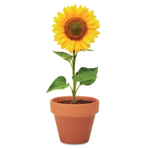 Doniczka, słonecznik - SUNFLOWER (MO6147-40)