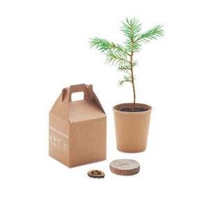Nasiona sosny, torf, doniczka - GROWTREE™ (MO6228-13)