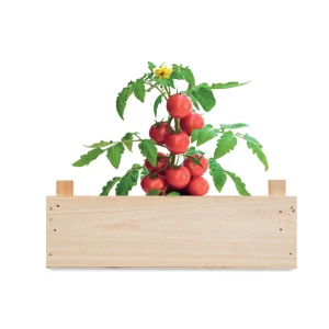 Zestaw do uprawy pomidorów - TOMATO (MO6498-40)