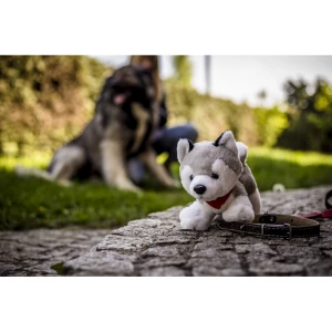 Pluszowy pies husky | Trooper (HE692-19)