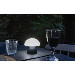 Lampka na biurko Luming, plastik z recyklingu (P513.741)