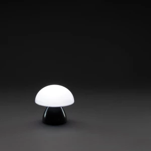Lampka na biurko Luming, plastik z recyklingu (P513.741)