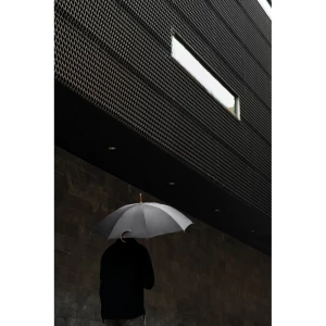 Parasol 23