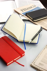 Notes VITAL A6 (GA-17529-02)