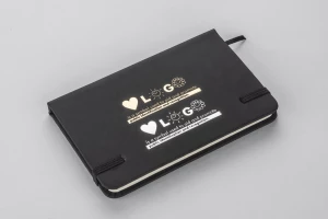 Notes VITAL A6 (GA-17529-02)