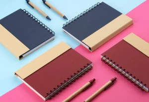 Notes MAGO B6 (GA-17585-06)