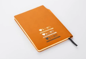 Notes MOLI A5 (GA-17678-07)