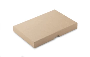 Ładowarka indukcyjna PARO (GA-09114)