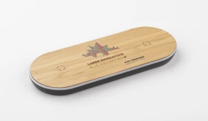 Ładowarka indukcyjna PARO (GA-09114)