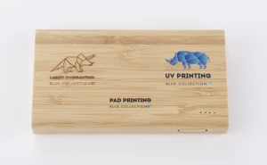 Power bank SILVA 8000 mAh (GA-45118)