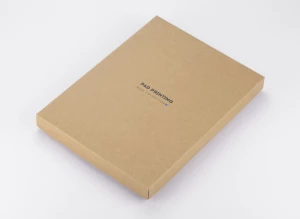 Notes IDELO B5 (GA-17894-02)