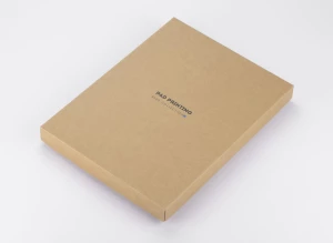 Notes IDELO B5 (GA-17894-09)