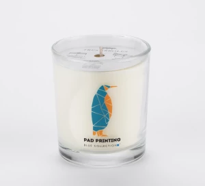 Świeca sojowa 170g - Lemongrass & Ginger - VERA YOUNG (GA-12101-19)