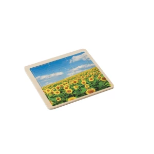 Puzzle (V8083-00)
