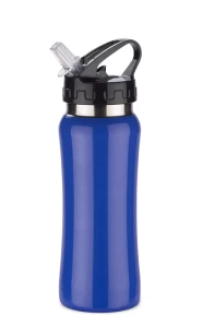 Bidon stalowy PATRO 600 ml (GA-16226-03)
