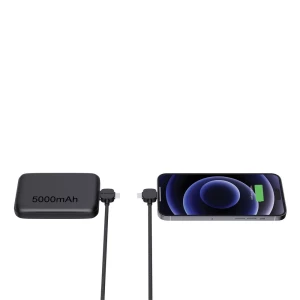 Kabel do ładowania Urban Vitamin Stockton 65W (P302.7101)