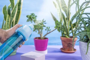 Bidon ze zraszaczem SPRAY 600 ml (GA-16234-03)