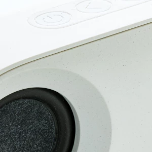 Głośnik bezprzewodowy 10W Oregon (P329.619)