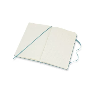 MOLESKINE Notatnik ok. A5 (VM301-29)