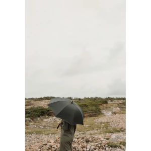 Parasol 23