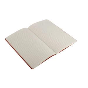 Zeszyt MOLESKINE Cahier Journal ok. A5 (VM022-05)
